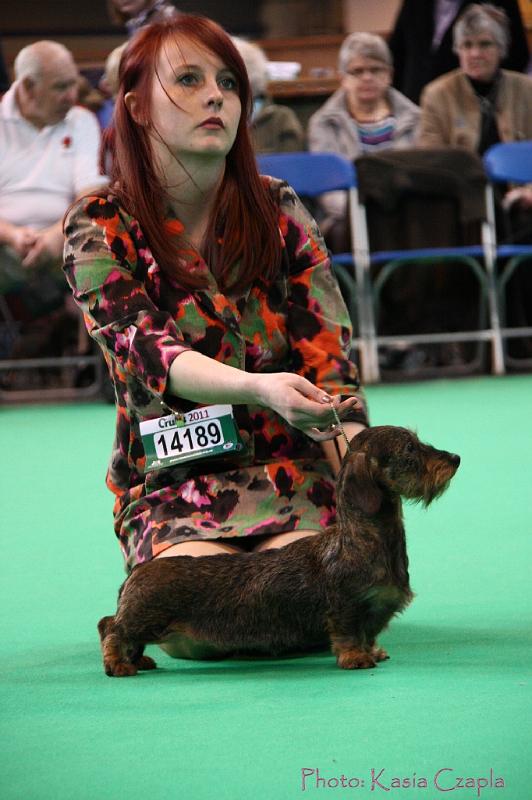 Crufts2011_2 1199.jpg